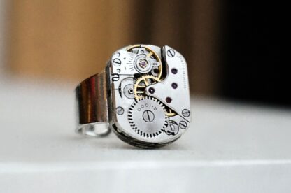 steampunk bdsm mens jewelry ring