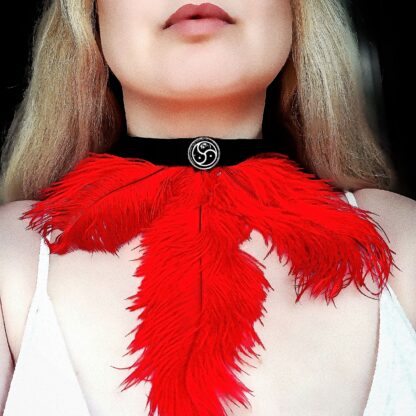 Steampunk BDSM submissive day collar triskele symbol feather choker sissy necklace