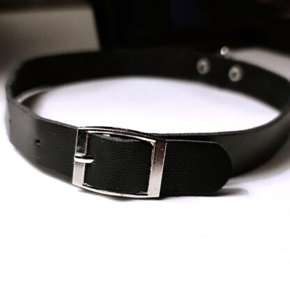 Sub collar with a ring