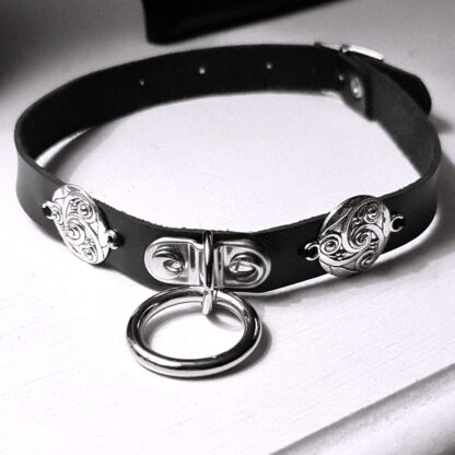 Sub collar with a ring