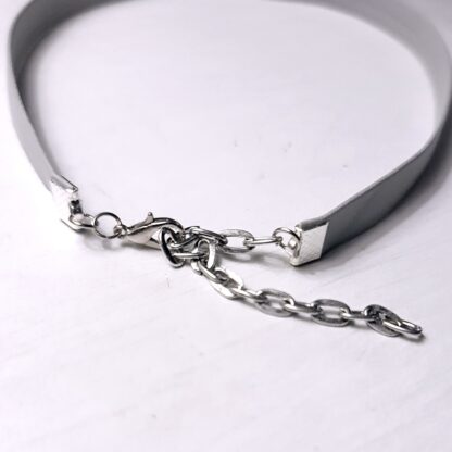 discreet collar