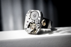Steampunk bdsm mens ring